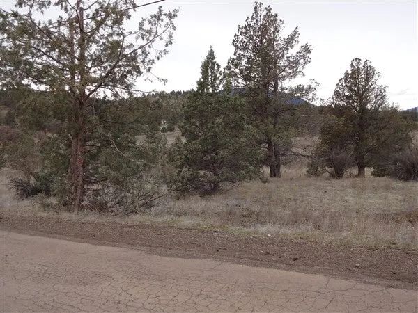 1.02 Acres in KCRE Near the Klamath River, Siskiyou County, CA in Siskiyou County, CA