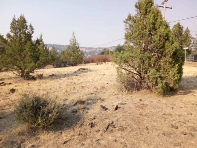 Decorative background for 1.02 Acres in KCRE Near the Klamath River, Siskiyou County, CA image 18