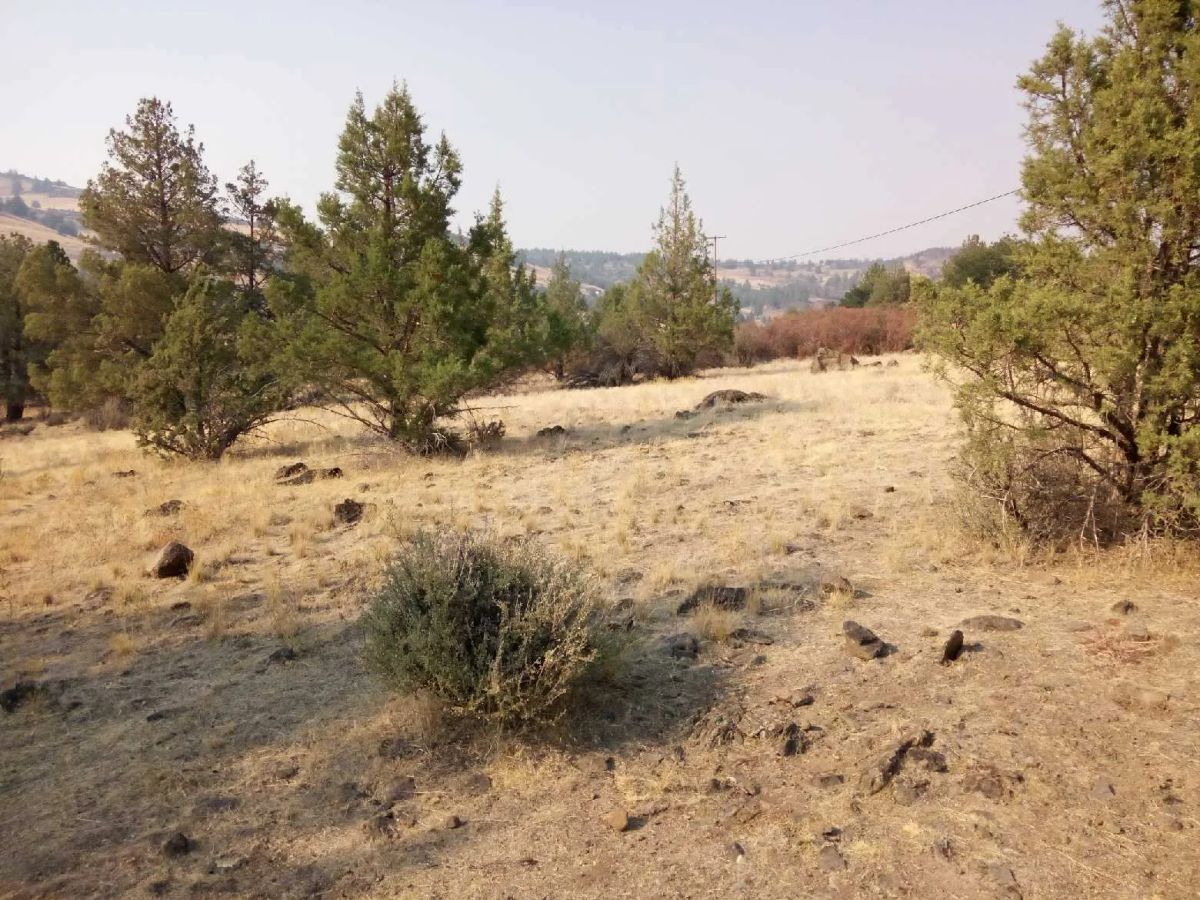 Decorative background for 1.02 Acres in KCRE Near the Klamath River, Siskiyou County, CA image 20
