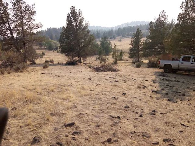Decorative background for 1.02 Acres in KCRE Near the Klamath River, Siskiyou County, CA image 23