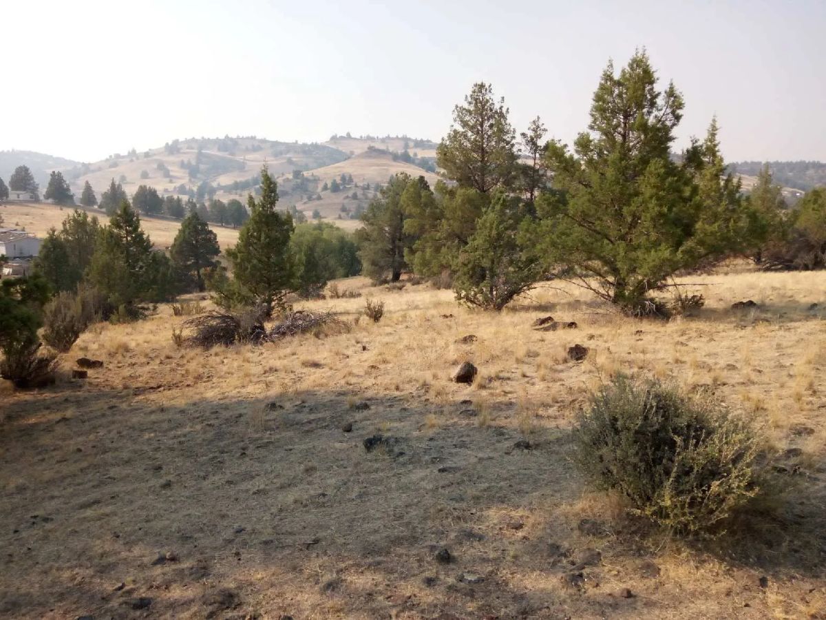 Decorative background for 1.02 Acres in KCRE Near the Klamath River, Siskiyou County, CA image 24