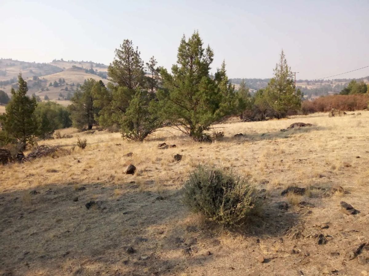 Decorative background for 1.02 Acres in KCRE Near the Klamath River, Siskiyou County, CA image 25