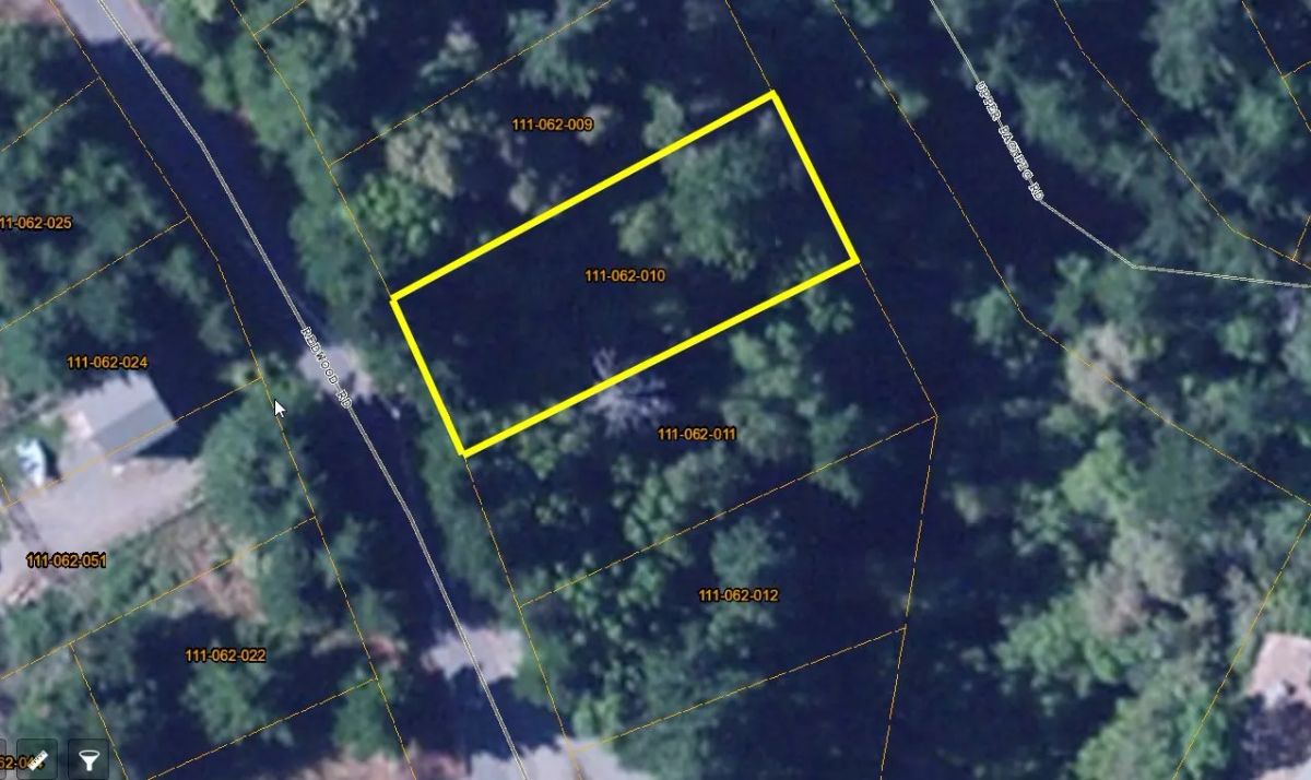 Wooded Shelter Cove Lot with Dense, Mature Trees, Humboldt County CA - Image 4