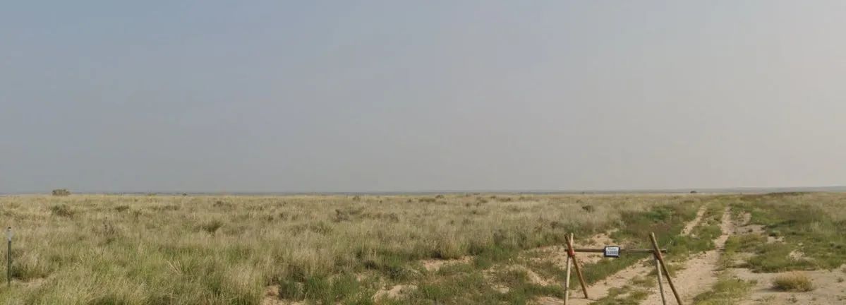 Decorative background for Affordable 35-Acre Colorado Property – Great Plains Location Near NM & KS image 13