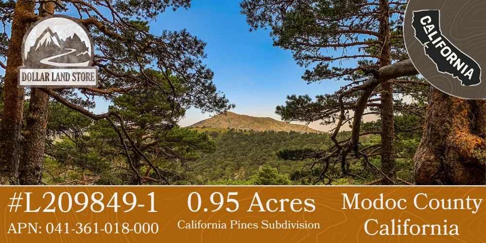 0.95 Acre Parcel in California Pines Modoc County, California