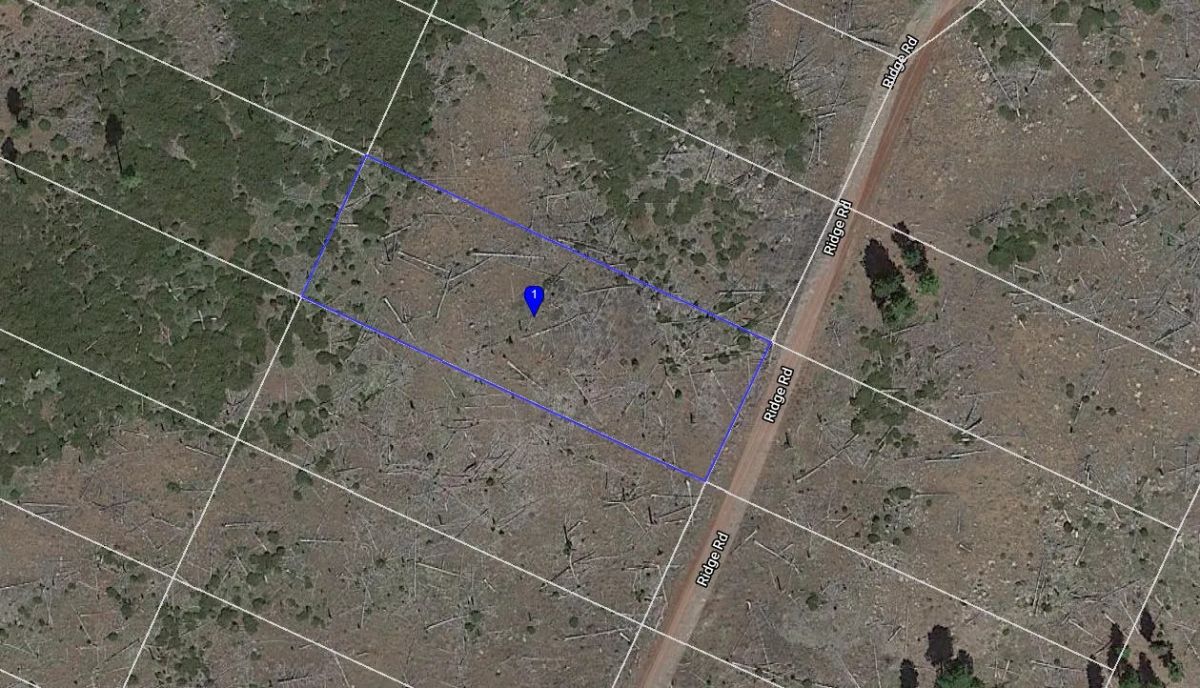 Decorative background for 0.95 Acre Parcel in California Pines Modoc County, California image 7
