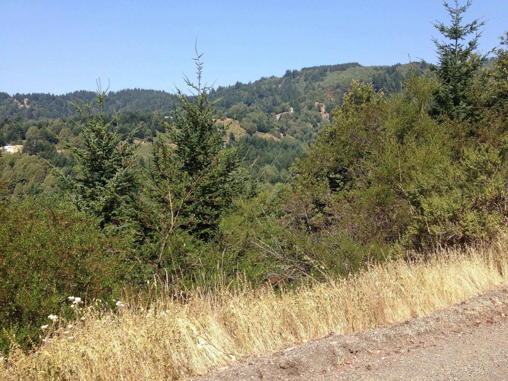 0.23 Acre Lot in Shelter Cove, Humboldt County CA in Humboldt County, CA