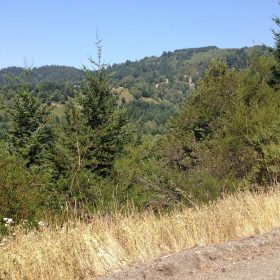0.23 Acre Lot in Shelter Cove, Humboldt County CA in Humboldt County, CA