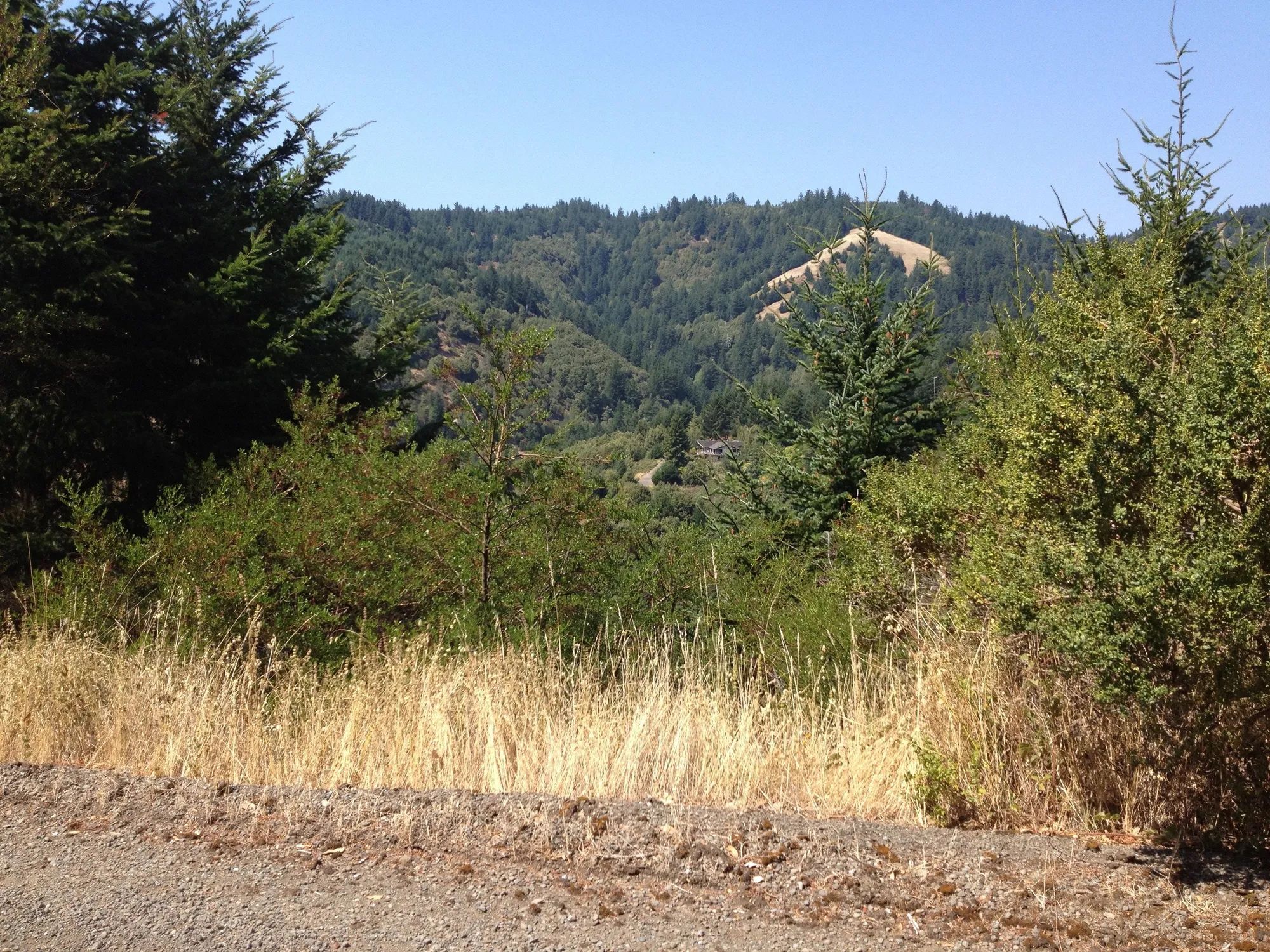 0.23 Acre Lot in Shelter Cove, Humboldt County CA in Humboldt County, CA