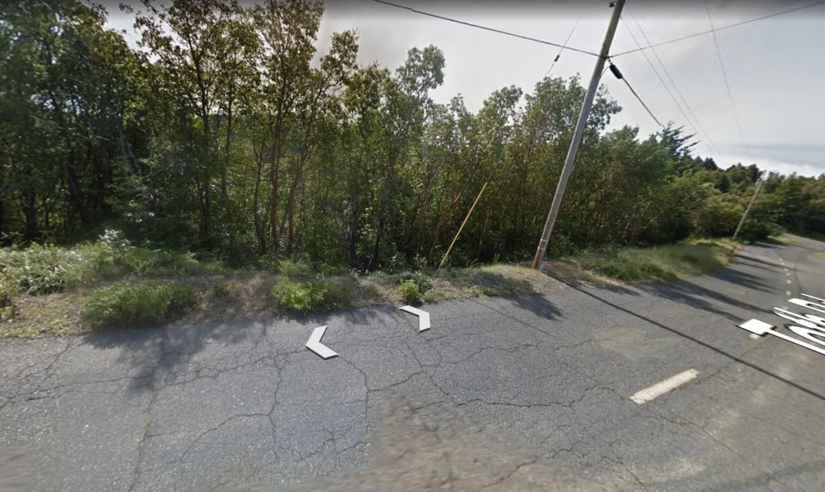 Decorative background for 0.23 Acre Lot in Shelter Cove, Humboldt County CA image 20
