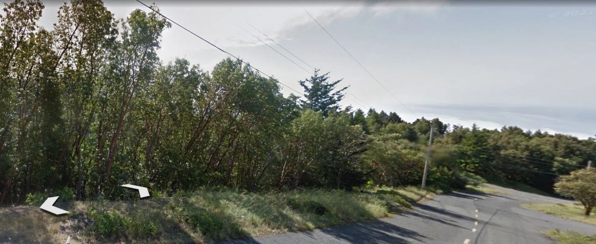 Decorative background for 0.23 Acre Lot in Shelter Cove, Humboldt County CA image 22