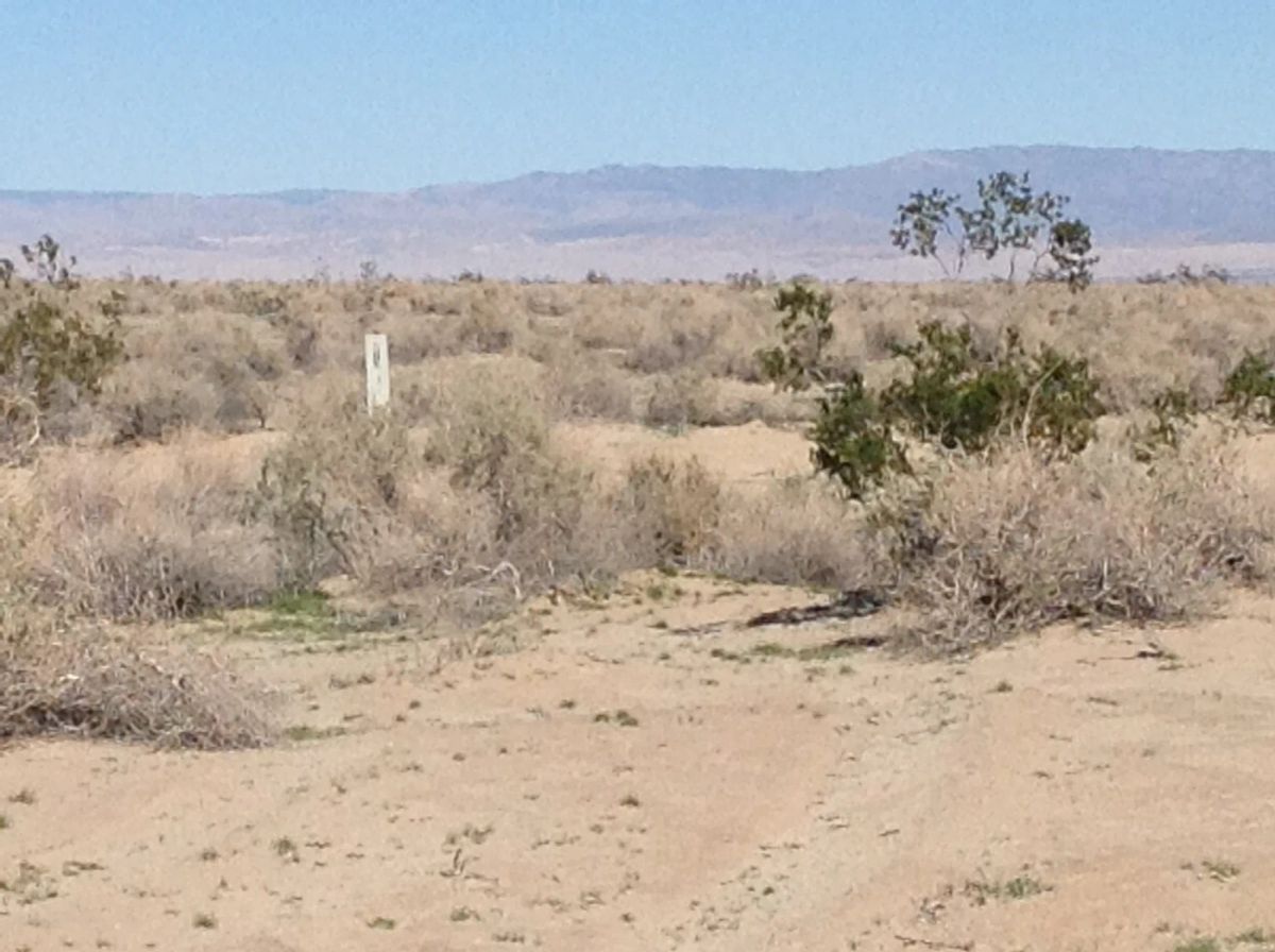 Decorative background for 0.23 Acre Lot in Salton City, California image 6