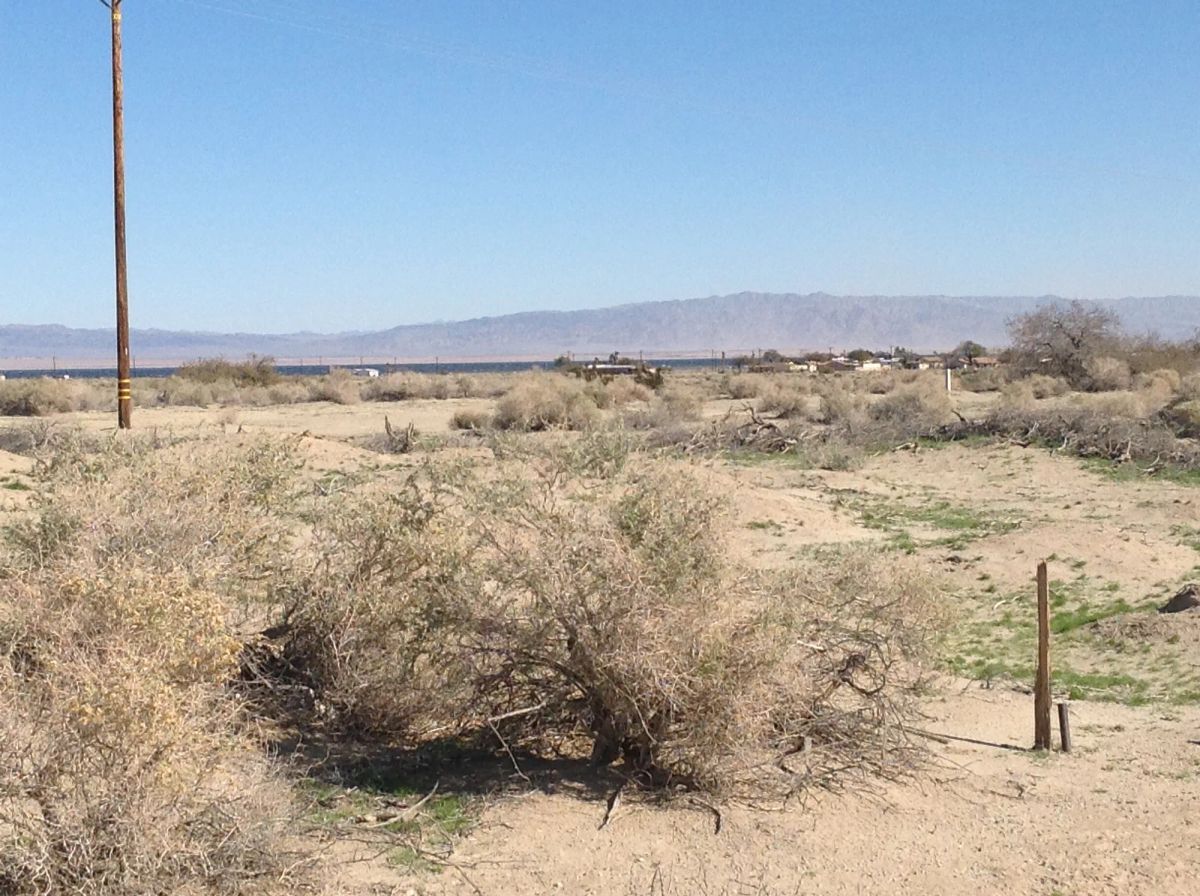 Decorative background for 0.23 Acre Lot in Salton City, California image 8