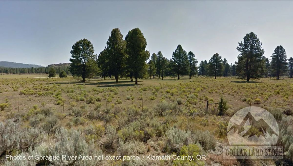 Decorative background for 1.5 Acres in Oregon Pines Subdivision, Klamath County, OR image 6