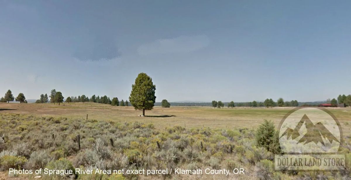 Decorative background for 1.5 Acres in Oregon Pines Subdivision, Klamath County, OR image 7
