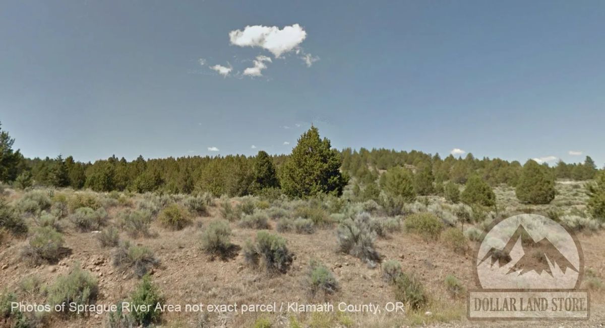 Decorative background for 1.5 Acres in Oregon Pines Subdivision, Klamath County, OR image 8