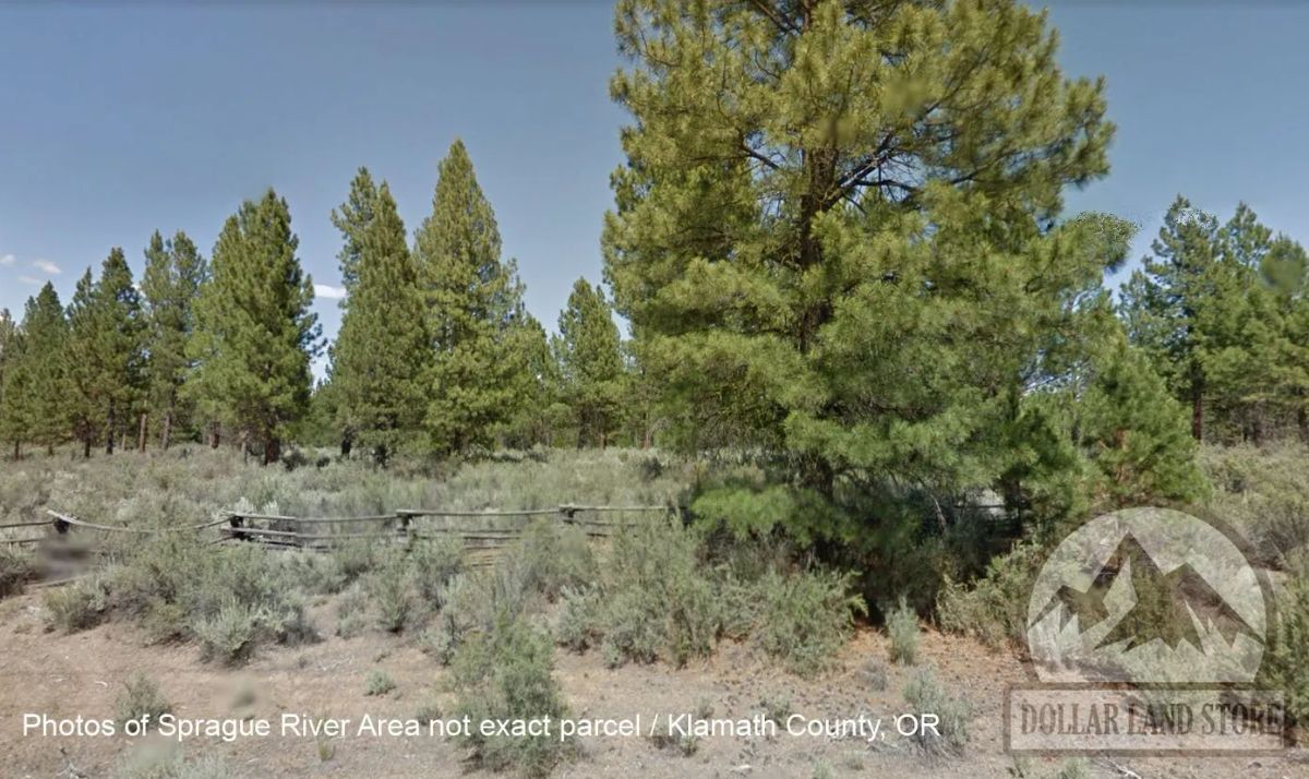 Decorative background for 1.5 Acres in Oregon Pines Subdivision, Klamath County, OR image 9