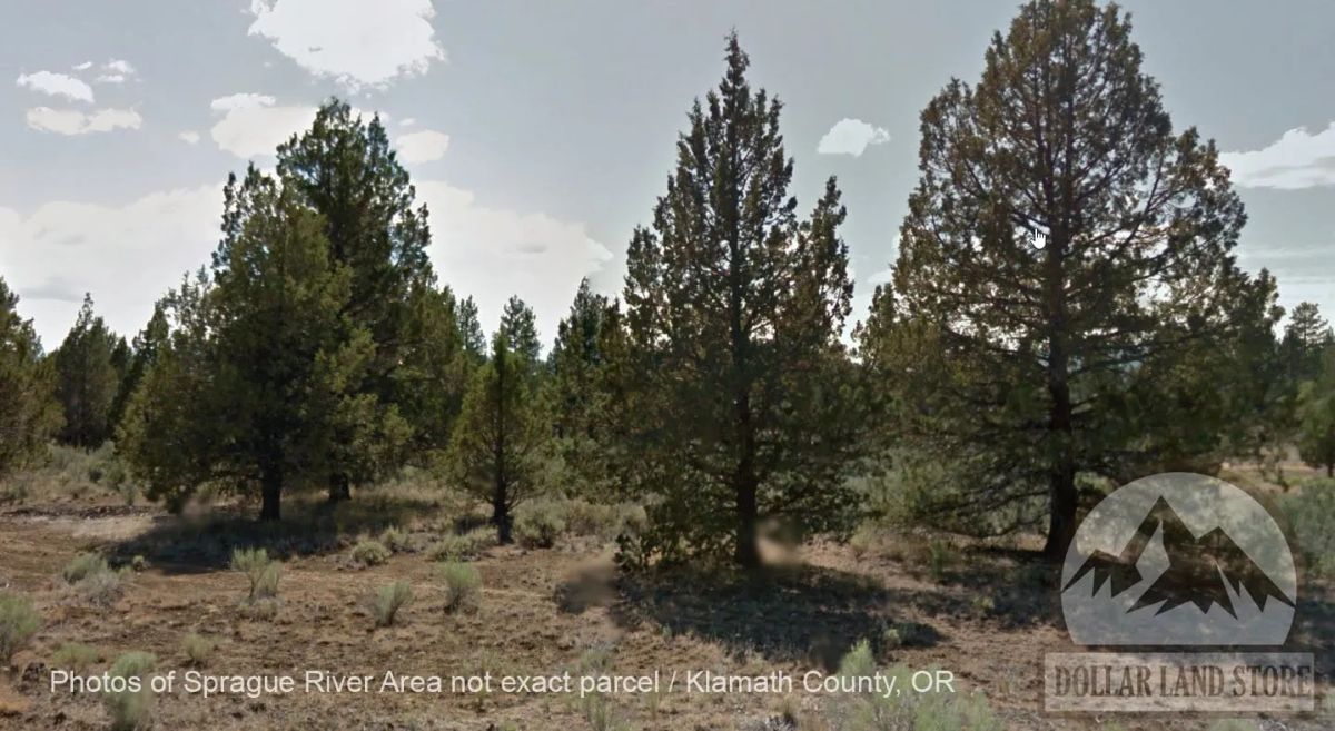Decorative background for 1.5 Acres in Oregon Pines Subdivision, Klamath County, OR image 10