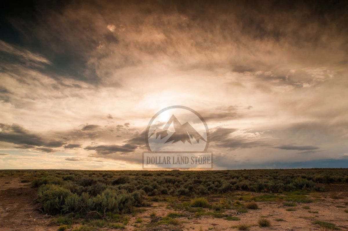 Decorative background for 10 Acres in Luna County, NM image 9