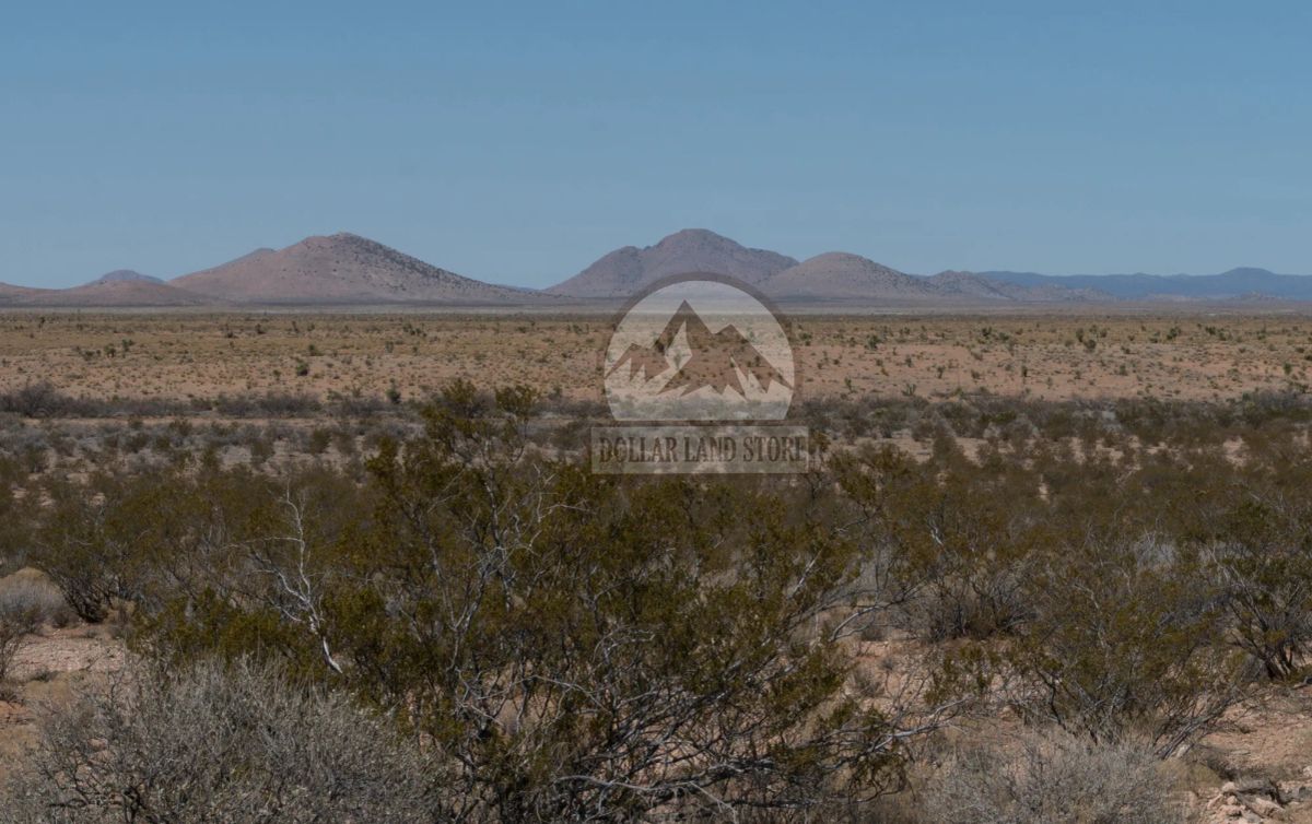 Decorative background for 10 Acres in Luna County, NM image 16
