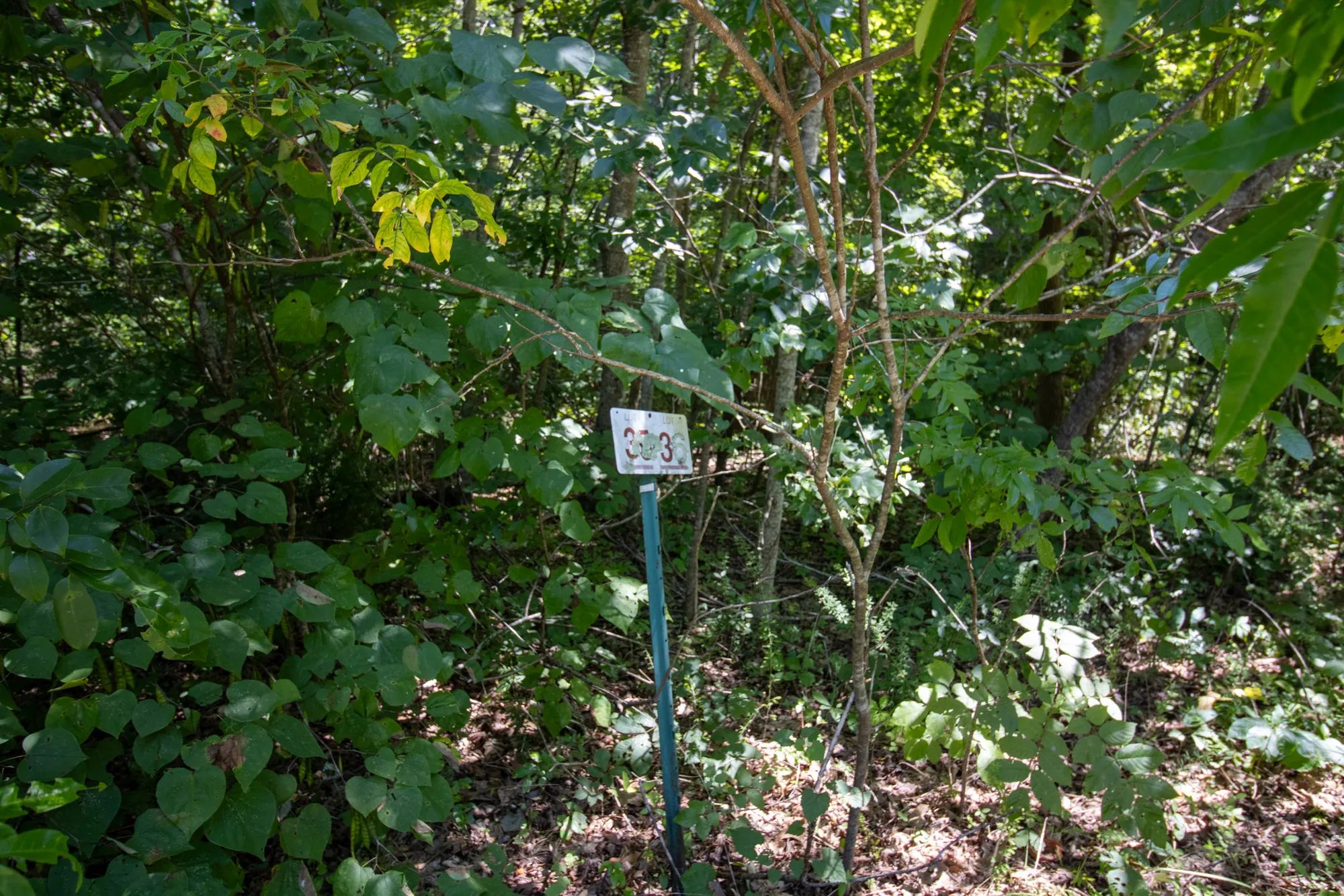 Building Lot in Pamplin at Stockton Lake