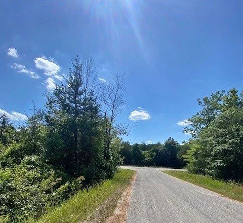 $100 Down • $100/Month • 0% Interest – 0.30 Acre Lot - Main image