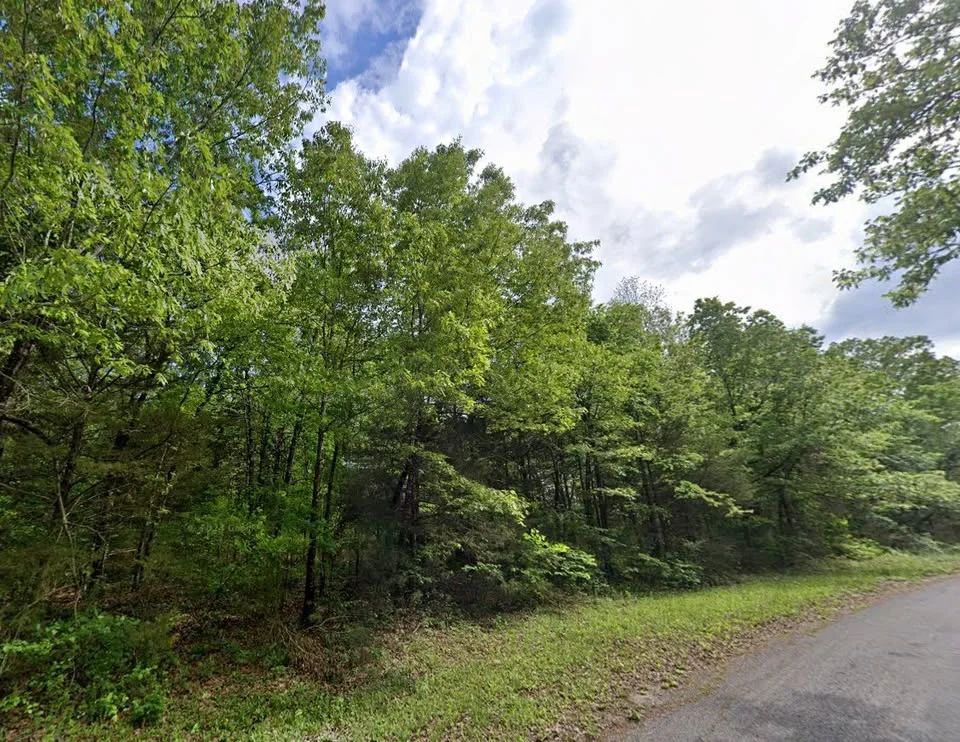 Own this 0.36 ac lot in the Ozarks for only $115/mo - Main image