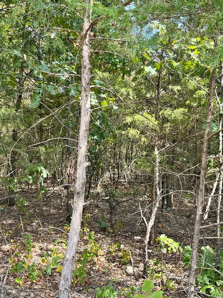 Crown Lake Area Lot With Paved Road Access - Main image