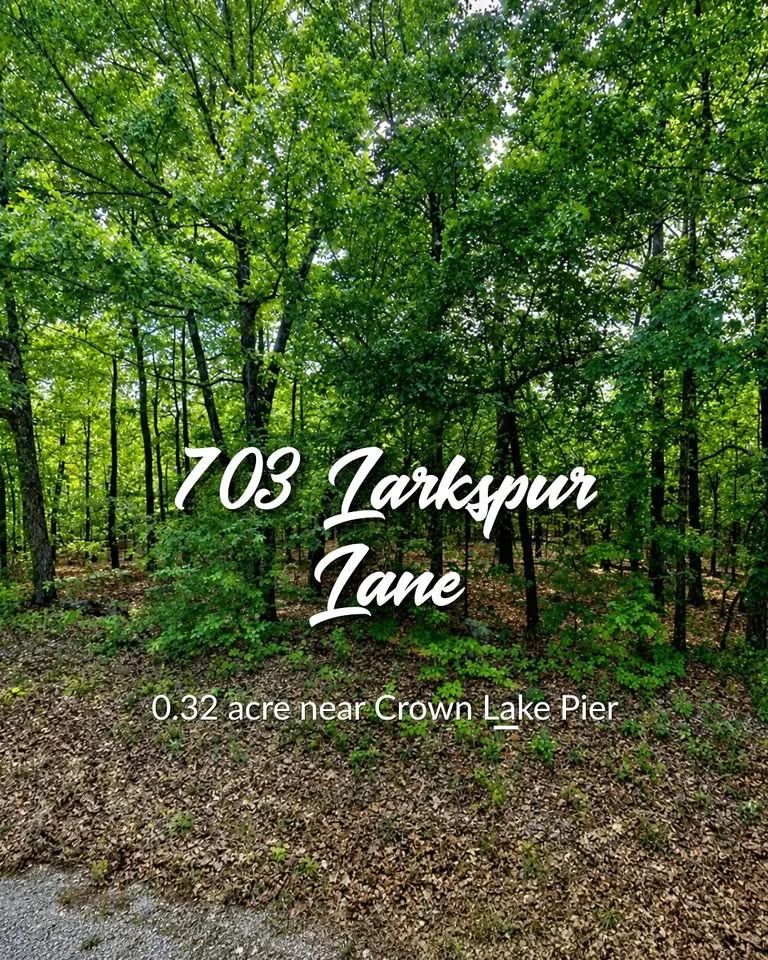 Lakeview Addition Lot Near Crown Lake Pier With $150 Down - Main image