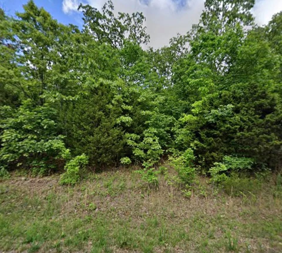 0.35 Acre Buildable Lot Near Crown Lake | $150 Down - Main image