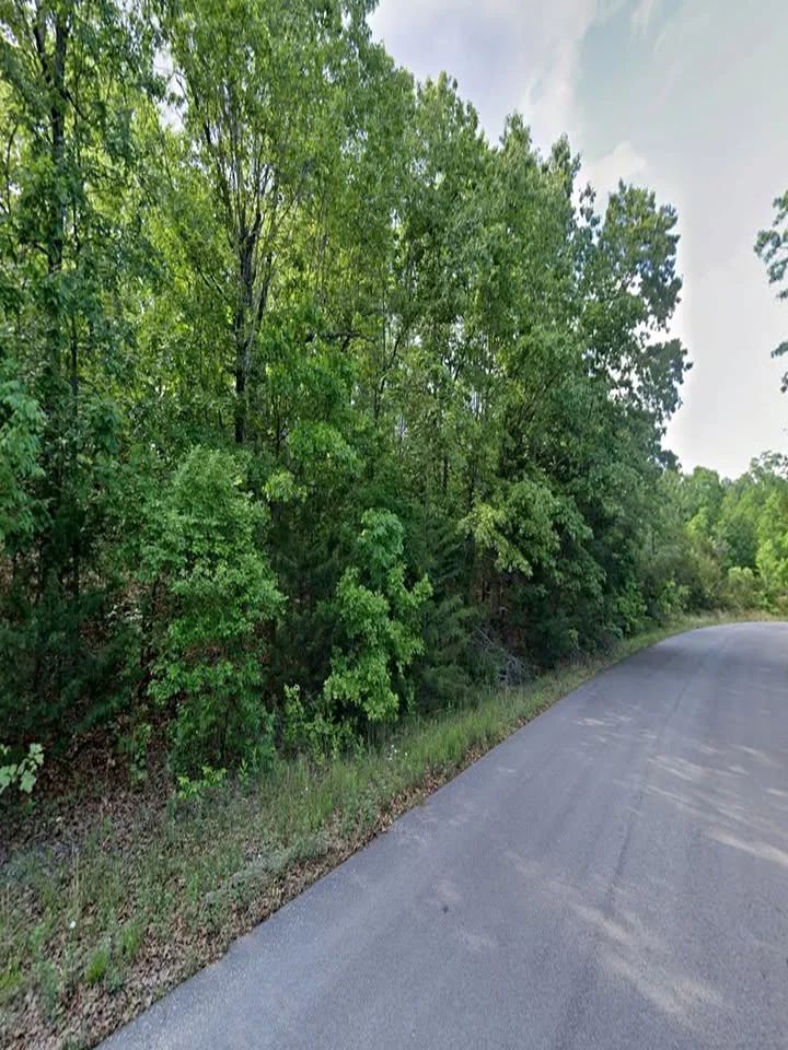 Paved Road Pine Ridge Lot Near Horseshoe Bend Lakes - Main image