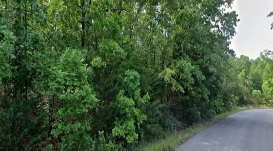Paved Road Pine Ridge Lot Near Horseshoe Bend Lakes in Izard County, AR