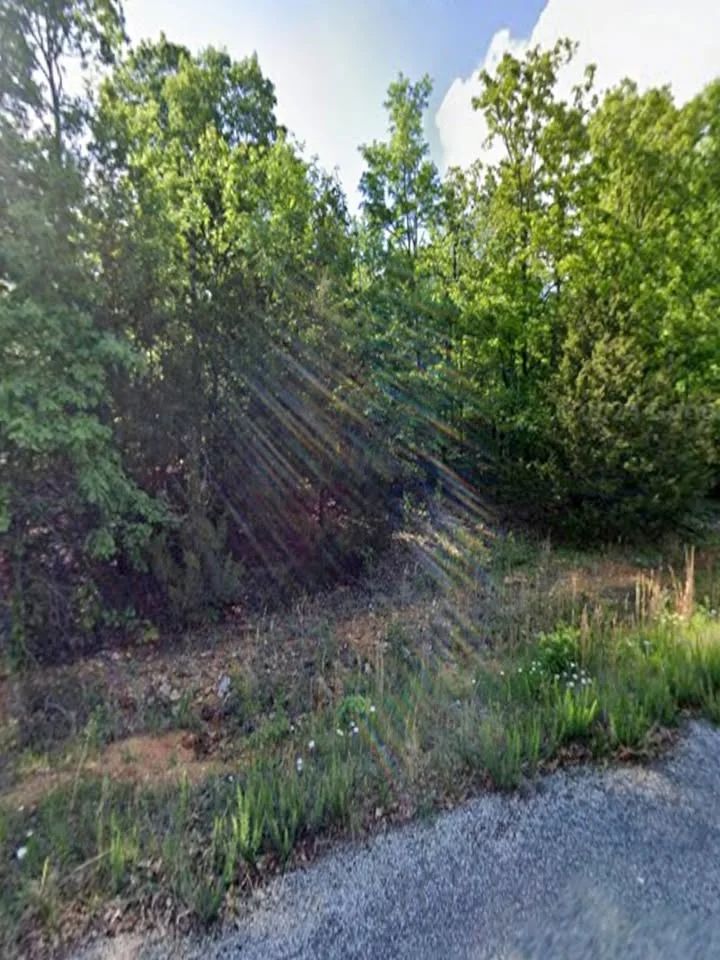 Paved Lynwood Lot With Simple Owner Financing - Main image