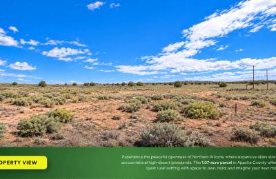 1.2 Acres in Arizona Park Estates, Arizona – Room to Make It Yours!