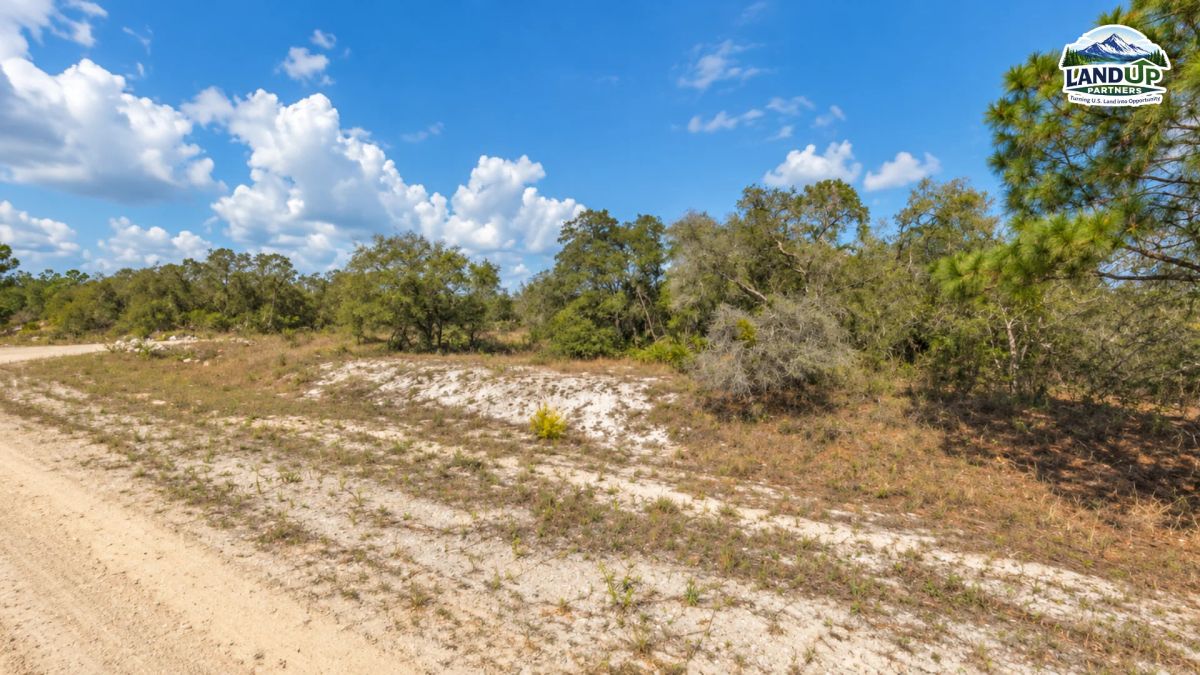 0.25 Acres - Highlands county FL - Main image