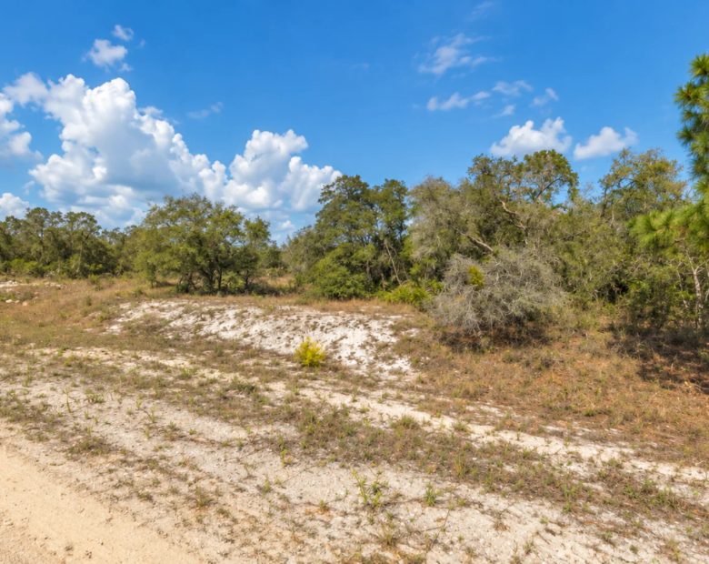 0.25 Acres - Highlands county FL in Highlands County, FL