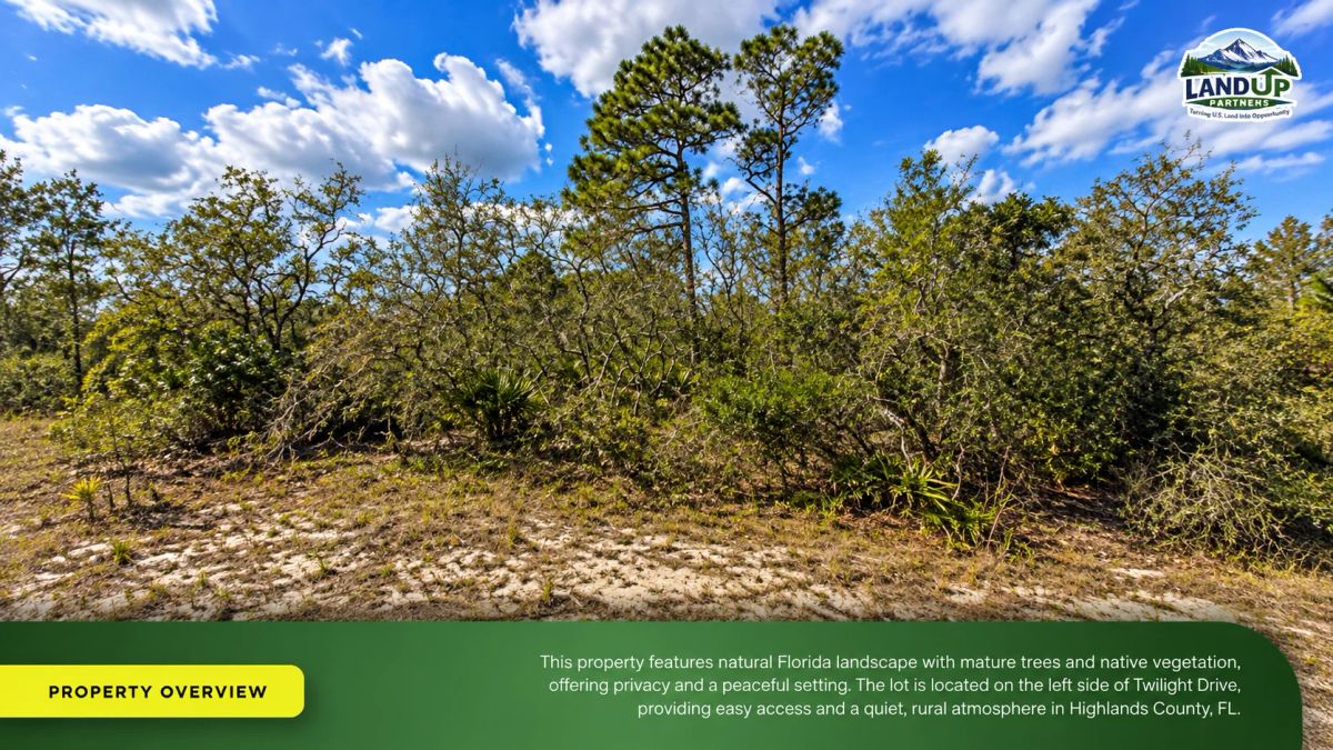 0.25 Acres - Highlands county FL - Image 4