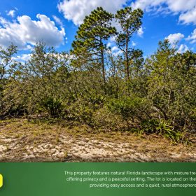 0.25 Acres - Highlands county FL in Highlands County, FL