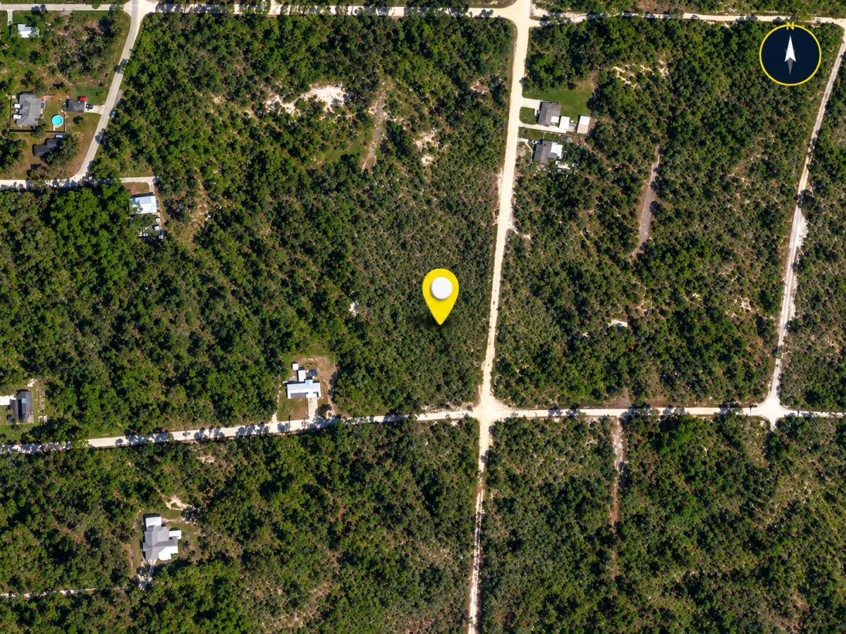 Decorative background for 0.25 Acres - Highlands county FL image 5