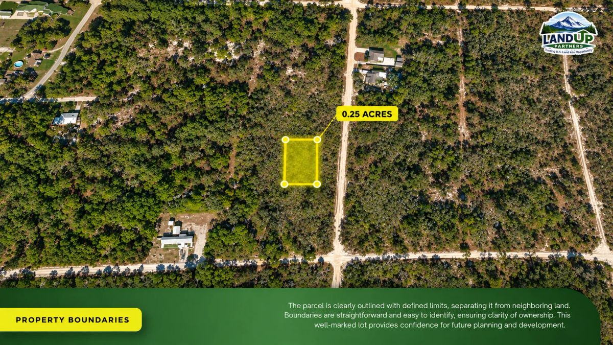 Decorative background for 0.25 Acres - Highlands county FL image 7