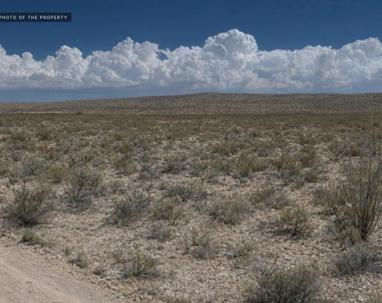 Your Own Piece of Arizona – 0.33 Acres in Douglas in Cochise County, AZ