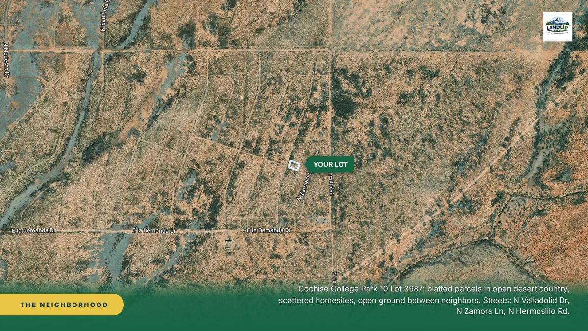 Decorative background for Your Own Piece of Arizona – 0.33 Acres in Douglas image 6