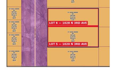 6 Michigan Lots Bundle - Saginaw Double Lot + Idlewild Lots - 0.504 Acres - $39,900