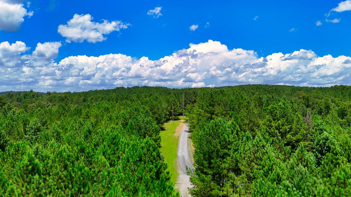 1.59 Acres Near Lake w/ Public Water - LAKE VIEWS - Image 3