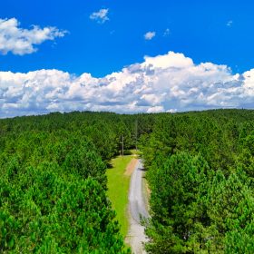 1.59 Acres Near Lake w/ Public Water - LAKE VIEWS in Winston County, AL