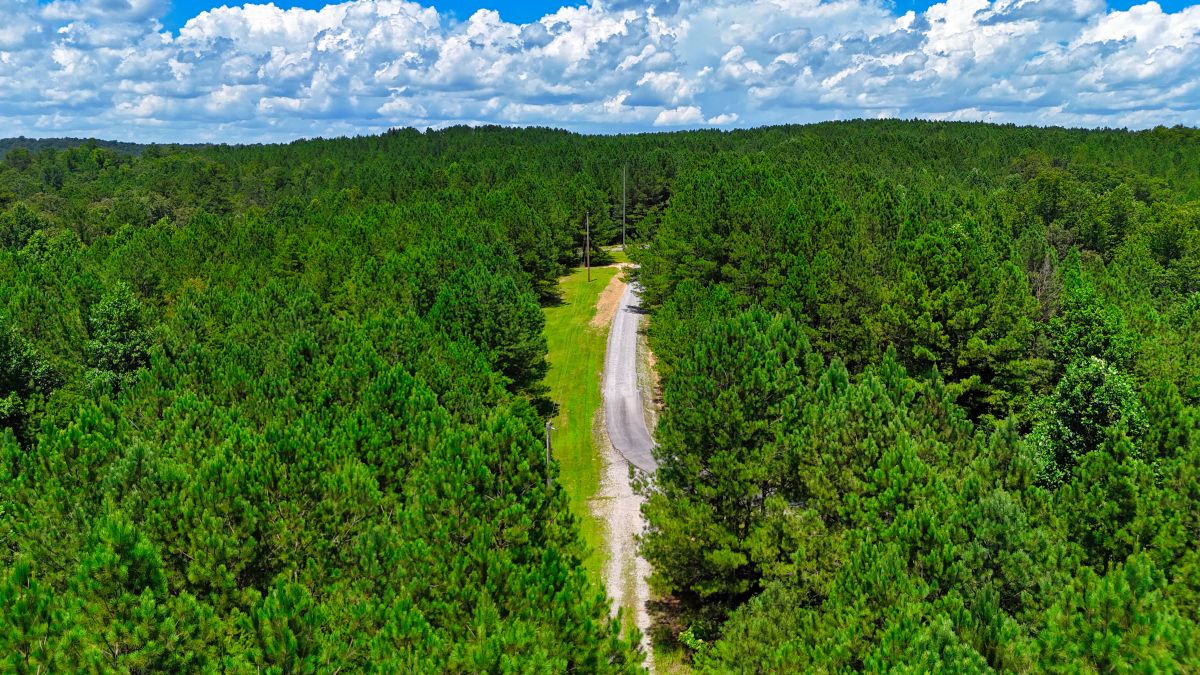 1.59 Acres Near Lake w/ Public Water - LAKE VIEWS - Image 4