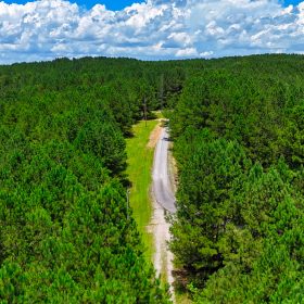1.59 Acres Near Lake w/ Public Water - LAKE VIEWS in Winston County, AL
