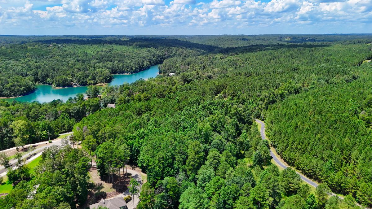 Decorative background for 1.59 Acres Near Lake w/ Public Water - LAKE VIEWS image 5