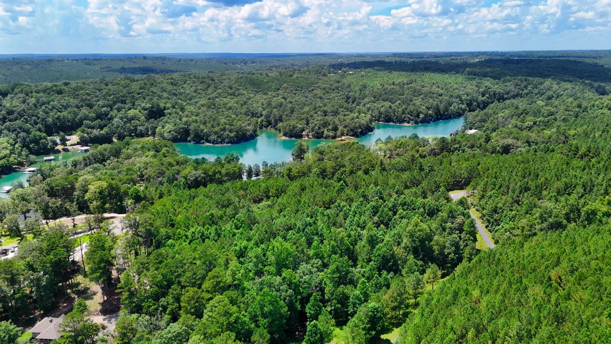 Decorative background for 1.59 Acres Near Lake w/ Public Water - LAKE VIEWS image 6