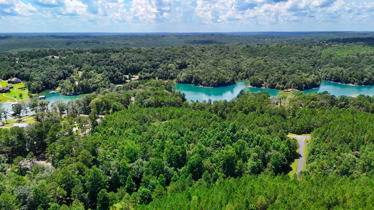 Decorative background for 1.59 Acres Near Lake w/ Public Water - LAKE VIEWS image 7